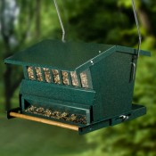 Squirrel Proof Bird Feeder